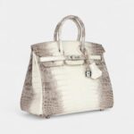 Hermès Birkin 25 Himalaya Niloticus Crocodile Diamond Encrusted Palladium Hardware