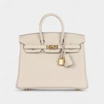 Hermès Birkin 25 Himalaya Niloticus Crocodile Palladium Hardware