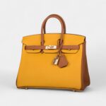 Hermès Birkin 25 Jaune Ambre and Gold Togo Permabrass Hardware