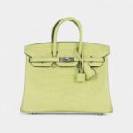 Hermès Birkin 25 Jaune Bourgeon Matte Alligator Palladium Hardware