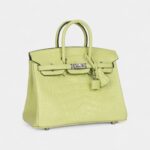 Hermès Birkin 25 Jaune Bourgeon Matte Alligator Palladium Hardware