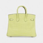 Hermès Birkin 25 Jaune Bourgeon Matte Alligator Palladium Hardware