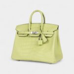 Hermès Birkin 25 Jaune Bourgeon Matte Alligator Palladium Hardware