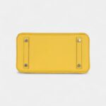 Hermès Birkin 25 Jaune de Naples Swift Palladium Hardware