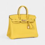 Hermès Birkin 25 Jaune de Naples Togo Gold Hardware