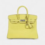 Hermès Birkin 25 Lime Matte Alligator Palladium Hardware
