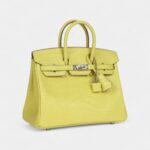 Hermès Birkin 25 Lime Matte Alligator Palladium Hardware