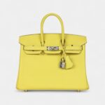 Hermès Birkin 25 Lime Swift Palladium Hardware