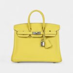 Hermès Birkin 25 Lime Swift Palladium Hardware