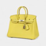 Hermès Birkin 25 Lime Swift Palladium Hardware
