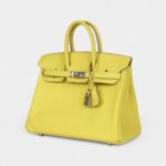 Hermès Birkin 25 Lime Swift Palladium Hardware