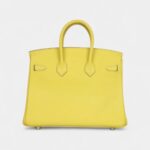 Hermès Birkin 25 Lime Swift Palladium Hardware