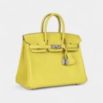 Hermès Birkin 25 Lime Swift Palladium Hardware
