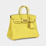 Hermès Birkin 25 Lime Verso Clemence Rose Gold Hardware