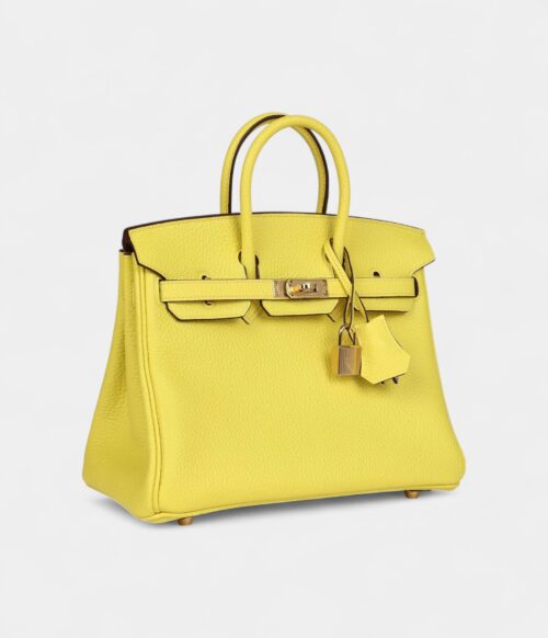 Hermès Birkin 25 Lime Verso Clemence Rose Gold Hardware