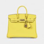 Hermès Birkin 25 Lime Verso Clemence Rose Gold Hardware