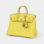 Hermès Birkin 25 Lime Verso Clemence Rose Gold Hardware