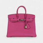 Hermès Birkin 25 Magnolia Togo Palladium Hardware