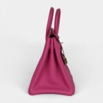 Hermès Birkin 25 Magnolia Togo Palladium Hardware