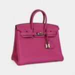 Hermès Birkin 25 Magnolia Togo Palladium Hardware