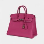 Hermès Birkin 25 Magnolia Togo Palladium Hardware