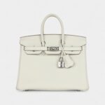 Hermès Birkin 25 Mushroom Togo Palladium Hardware