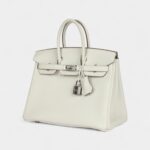 Hermès Birkin 25 Mushroom Togo Palladium Hardware