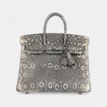 Hermès Birkin 25 Ombre Varanus Salvator Lizard Palladium Hardware