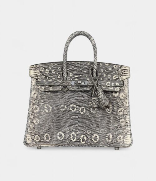 Hermès Birkin 25 Ombre Varanus Salvator Lizard Palladium Hardware
