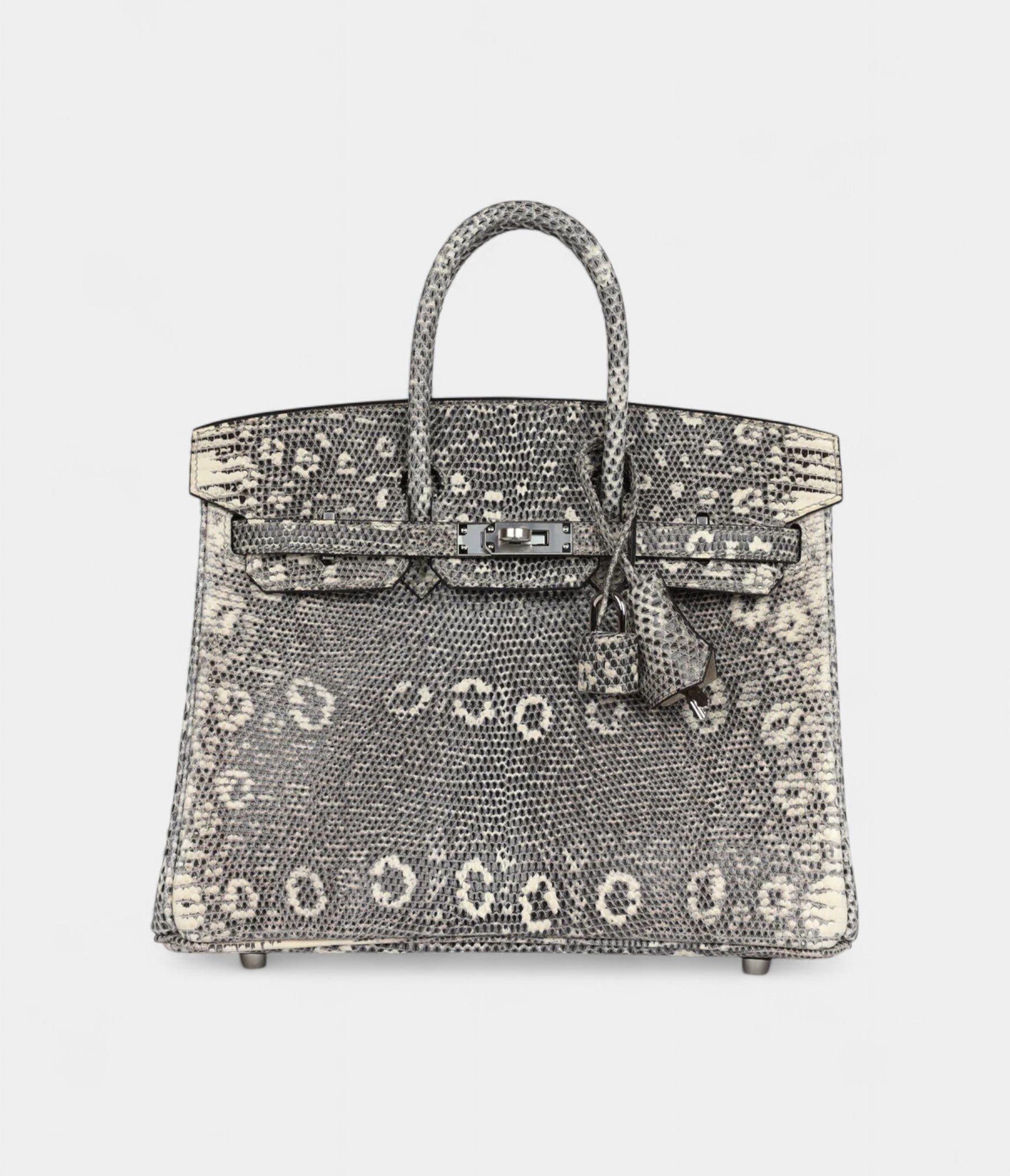 Hermès Birkin 25 Ombre Varanus Salvator Lizard Palladium Hardware