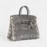 Hermès Birkin 25 Ombre Varanus Salvator Lizard Palladium Hardware