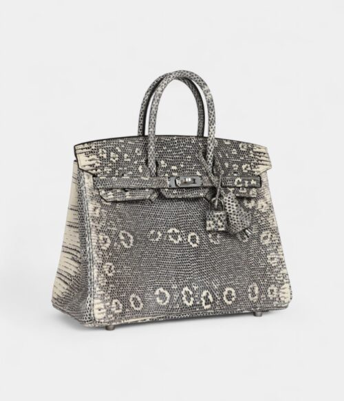 Hermès Birkin 25 Ombre Varanus Salvator Lizard Palladium Hardware