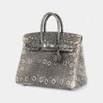 Hermès Birkin 25 Ombre Varanus Salvator Lizard Palladium Hardware