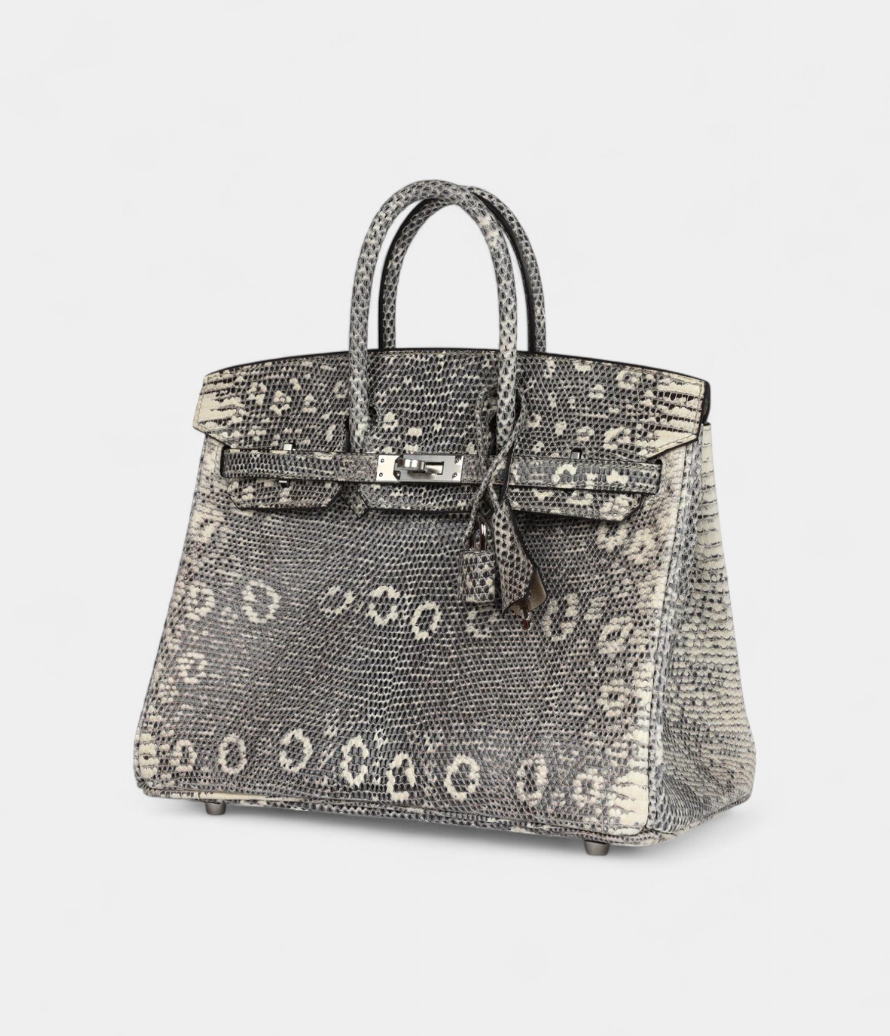 Hermès Birkin 25 Ombre Varanus Salvator Lizard Palladium Hardware