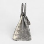 Hermès Birkin 25 Ombre Varanus Salvator Lizard Palladium Hardware