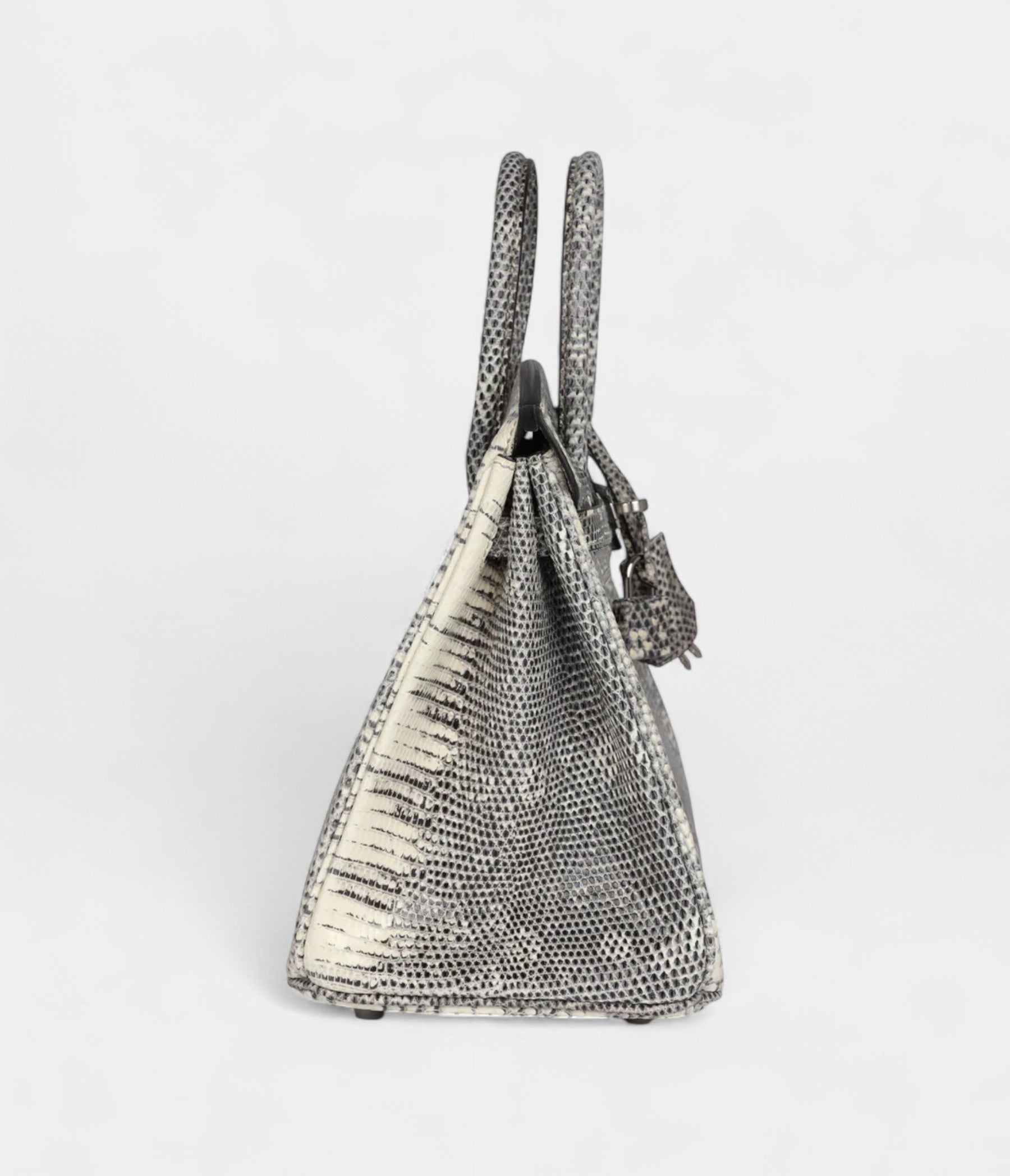 Hermès Birkin 25 Ombre Varanus Salvator Lizard Palladium Hardware