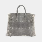 Hermès Birkin 25 Ombre Varanus Salvator Lizard Palladium Hardware