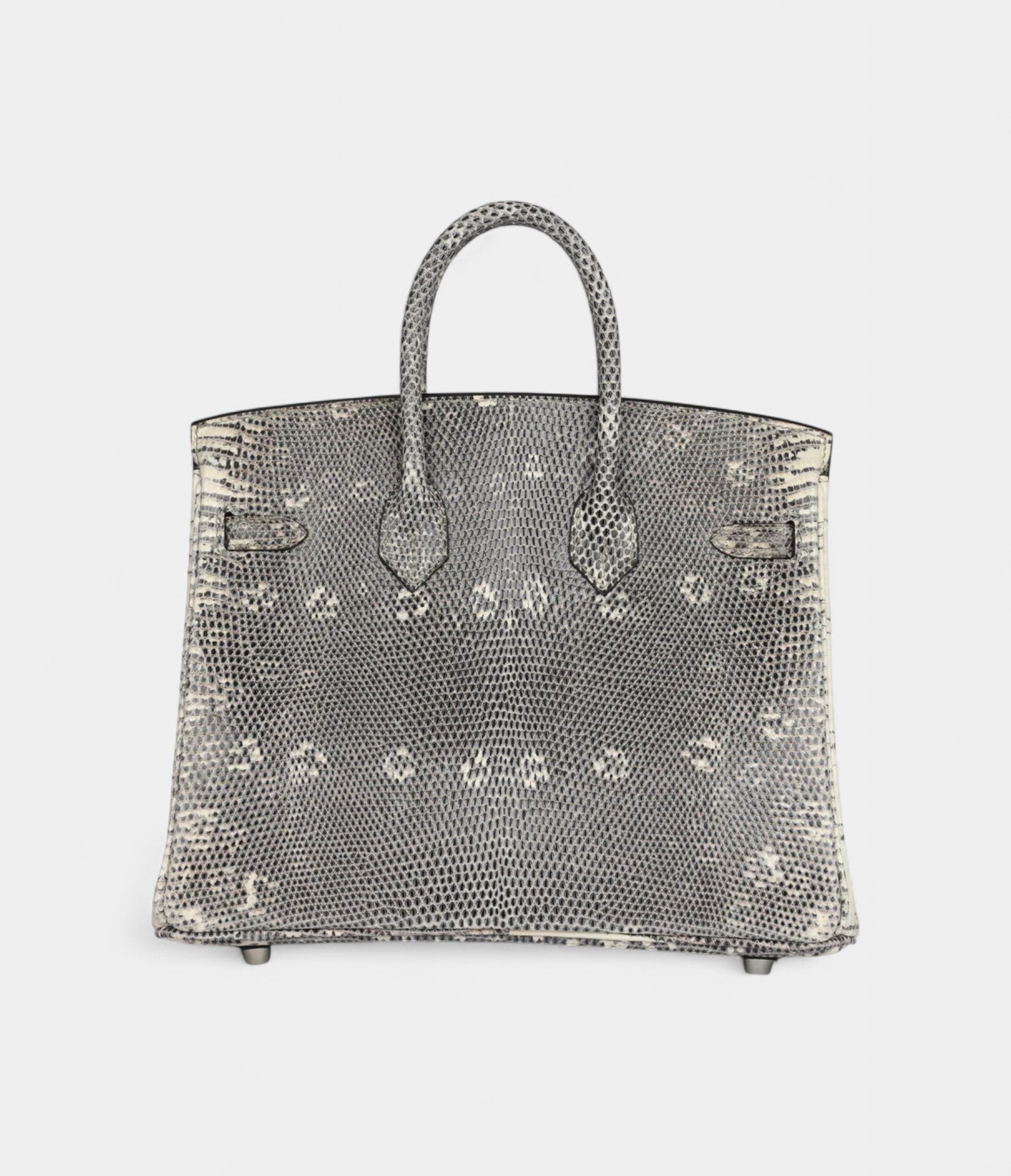 Hermès Birkin 25 Ombre Varanus Salvator Lizard Palladium Hardware