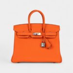 Hermès Birkin 25 Orange Minium Togo Palladium Hardware