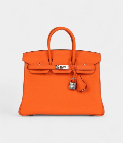 Hermès Birkin 25 Orange Minium Togo Palladium Hardware