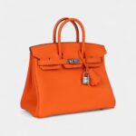 Hermès Birkin 25 Orange Minium Togo Palladium Hardware