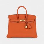 Hermès Birkin 25 Orange Togo Gold Hardware