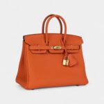 Hermès Birkin 25 Orange Togo Gold Hardware