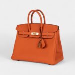 Hermès Birkin 25 Orange Togo Gold Hardware