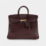 Hermès Birkin 25 Rouge Sellier Matte Porosus Crocodile Gold Hardware