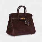 Hermès Birkin 25 Rouge Sellier Matte Porosus Crocodile Gold Hardware