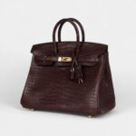 Hermès Birkin 25 Rouge Sellier Matte Porosus Crocodile Gold Hardware