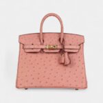 Hermès Birkin 25 Terre Cuite Ostrich Gold Hardware