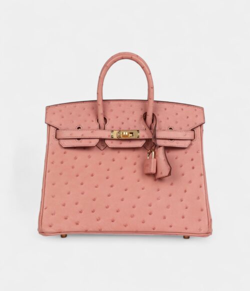 Hermès Birkin 25 Terre Cuite Ostrich Gold Hardware