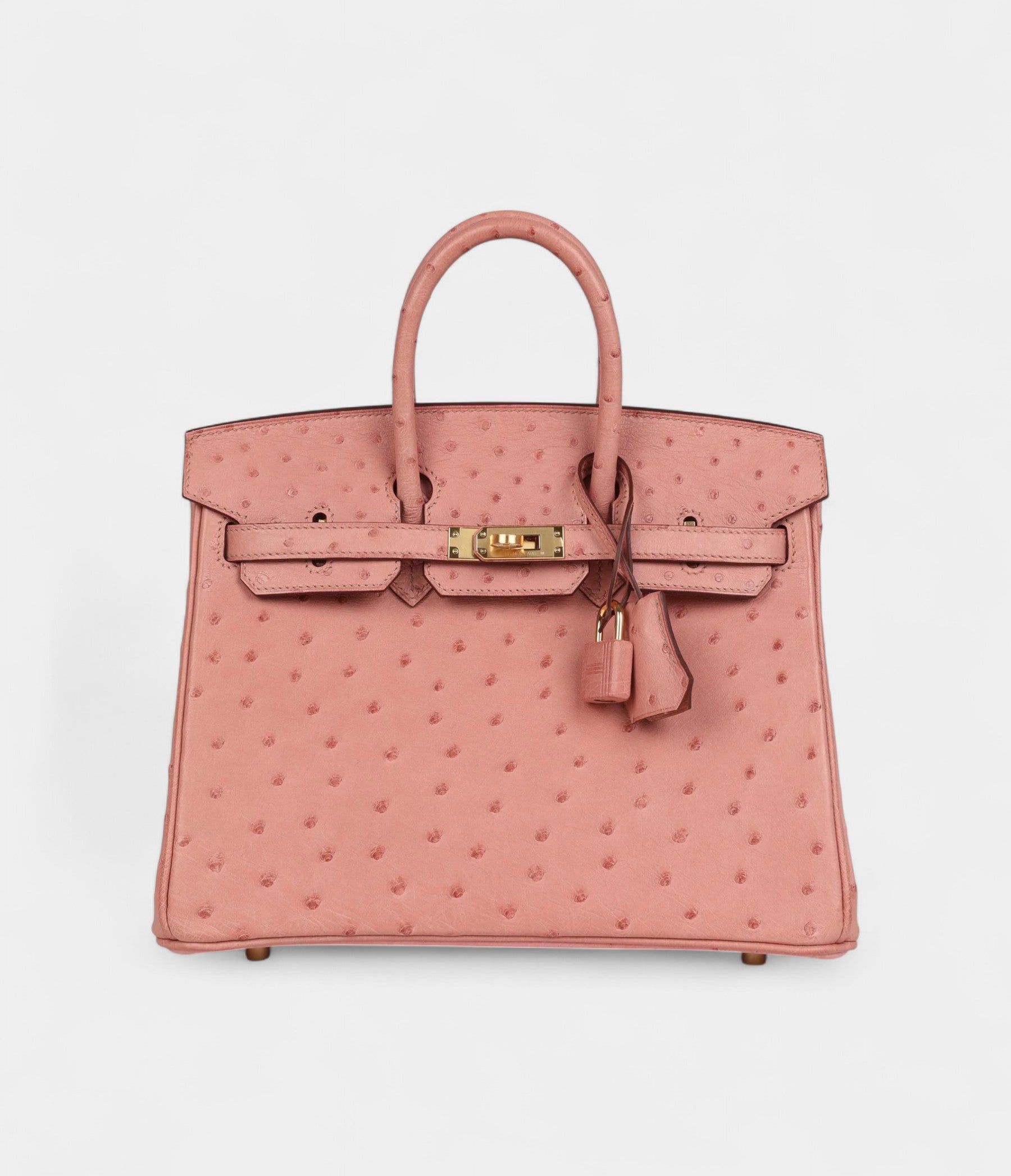 Hermès Birkin 25 Terre Cuite Ostrich Gold Hardware
